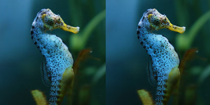 Upscale for JPEG Artifacts Removal